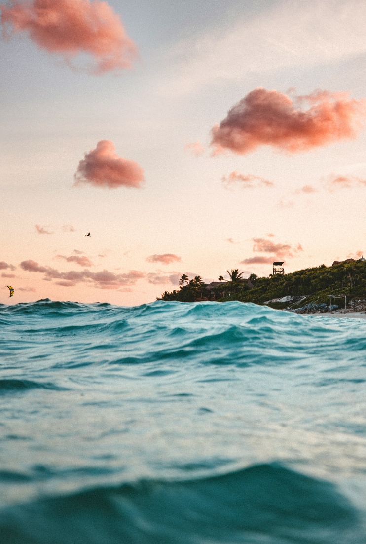 Image from the perspective of being in the water looking at an island.
